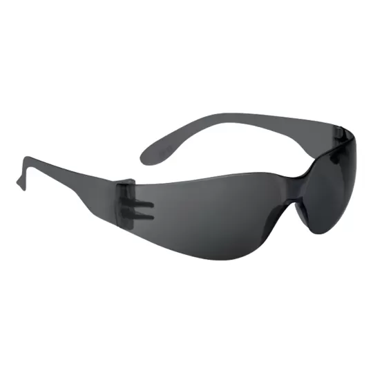 Delta Plus Προστατευτικά Γυαλιά Εργασίας με Πλευρική Προστασία BRAVA2